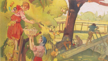 A Festa da Árvore e o Desenvolvimento da Amadora