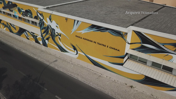 Autarquia Amadora Cria Bolsas de Mestrado Artístico