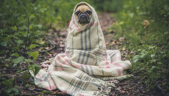 Tempo Frio: Temperaturas Descem a Partir de Amanhã