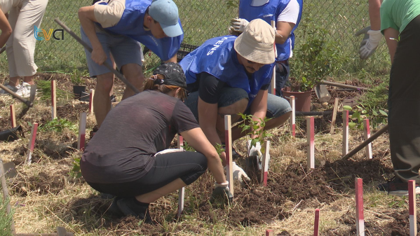 Está a Nascer uma Mini Floresta Urbana no Parque Artes e Desporto 